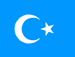 Уйгурский народ доволен поддержкой Турции, - Рабия Кадир