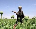 ООН сообщает о резком снижении производства опиума в Афганистане
