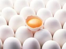 Яйца и куриное мясо способствует улучшению памяти