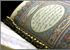 Баннеры с цитатами из Корана на благо общества