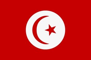 Иран и Тунис сотрудничают в сфере культуры