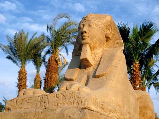 Туристические страсти по Египту