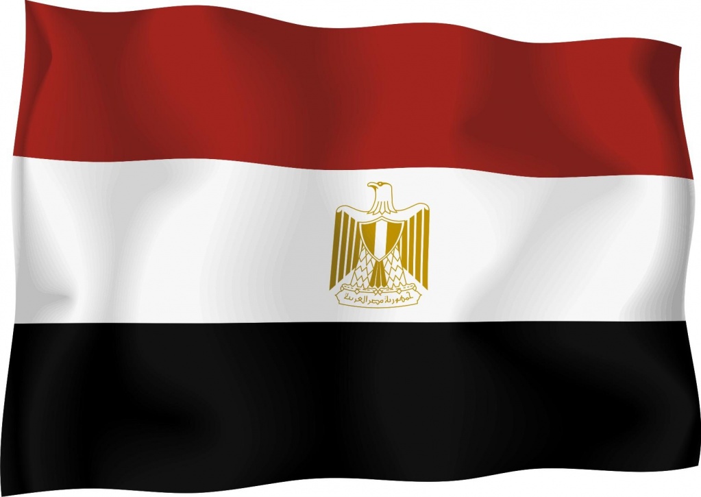 Парламент Египта одобрил законопроект о выборах