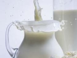 Частое употребление молочных продуктов вредит здоровью