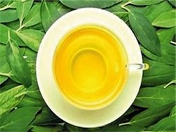 Кардиологи: зеленый чай «спасает» от инсульта и болезней сердца