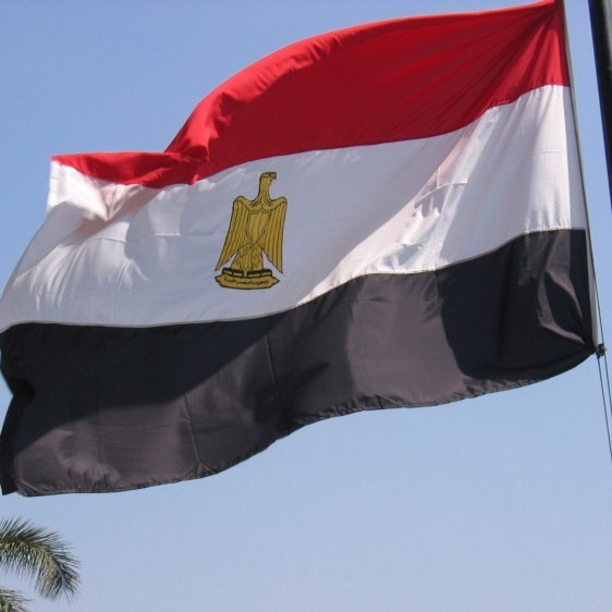 Египетские судьи выступили за запрет "Братьев-мусульман"