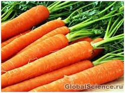 Ученые: морковь полезно есть при раке простаты