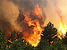 В Нижегородской области все силы спасателей мобилизованы на борьбу с лесными пожарами