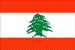 На выборах в Ливане победила правящая коалиция