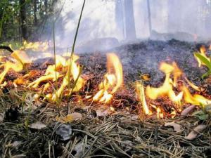 С 20 апреля по 15 мая в Татарстане будет установлен особый противопожарный режим