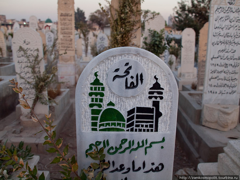 Мусульмане просят Собянина устроить кладбище в Домодедово