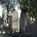 Татары Крыма требуют запретить приватизацию территорий старых кладбищ
