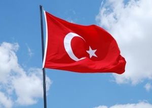 Турецкий суд впервые арестовал члена ИГ