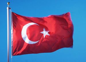 Турция разрешила готовить на своей территории сирийских повстанцев для борьбы с ИГ