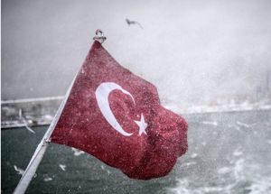 Турция депортировала более 1100 человек, желавших вступить в ИГ