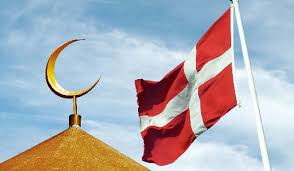 В Дании развязалась «котлетная война»