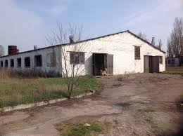 Мусульмане против постройки свинофермы близ татарских сел