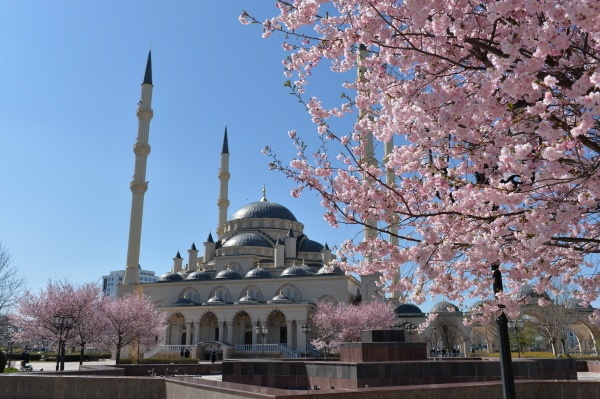 На новых российских купюрах может появиться изображение мечети