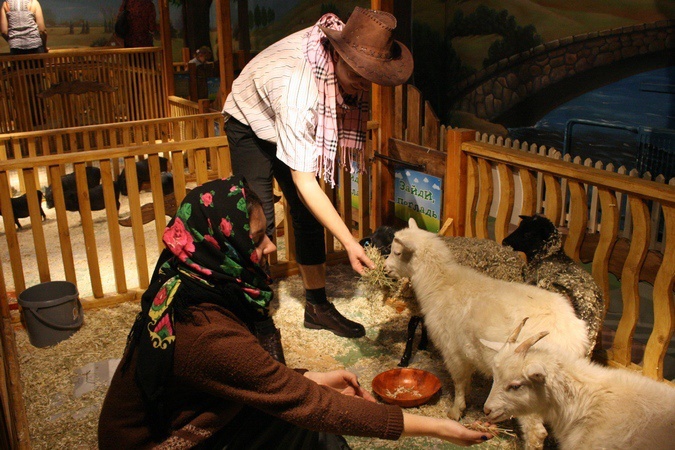 Трогательный зоопарк в Казани оформят в национальном стиле
