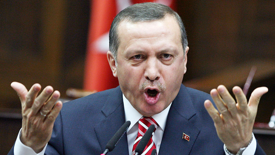 Кабмин Германии заявил о связи Эрдогана с исламистами и террористами