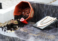 Во Франции вандалы разорили могилы солдат-мусульман