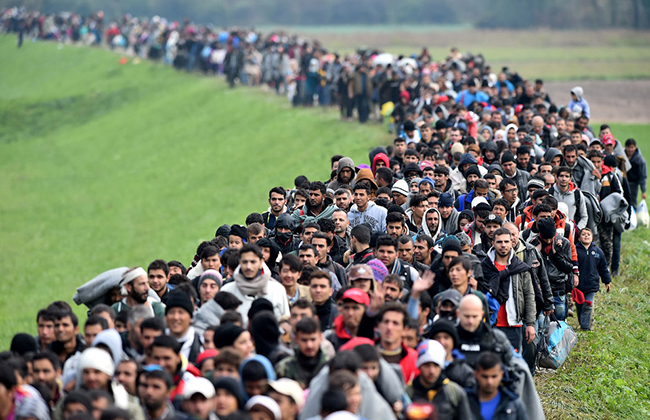 54 тысячи мигрантов добровольно покинули Германию