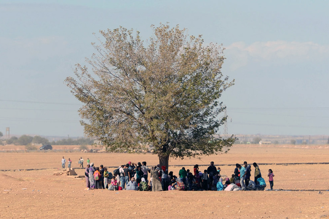 Сирийцы отдыхают по деревом после пересечения границы с Турцией