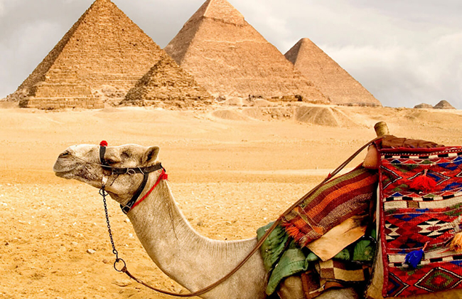Туроператоры начали принимать заявки на туры в Египет