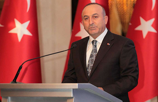 Турция призывает мусульманские страны признать независимость Палестины
