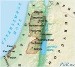 Муфтий Гайнутдин призывает к созданию независимого палестинского государства