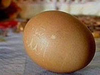 Курица снесла яйцо с надписью «Аллах»