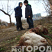 Останки убитых после Курбана-байрама животных бросили в центре Казани