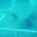 Дайверы построили подводную мечеть