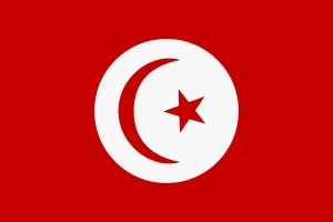 Иран и Тунис сотрудничают в сфере культуры