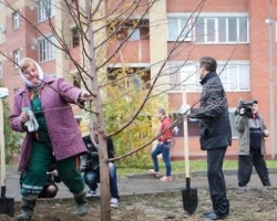 За выходные в Казани высажено 1700 деревьев