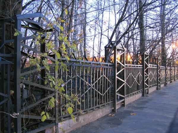 Кладбище для мусульман в Нидерландах