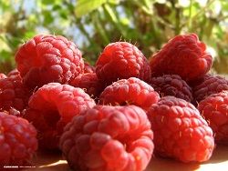 Малиновый аромат помогает бороться с лишним весом