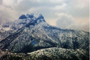 Мусульманские ученые совершили важное открытие