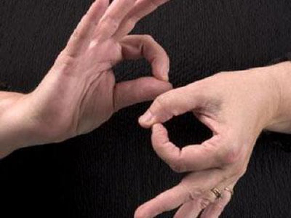 Турецких имамов стали обучать языку жестов