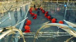 Сенат США возмущен ситуацией в Гуантанамо