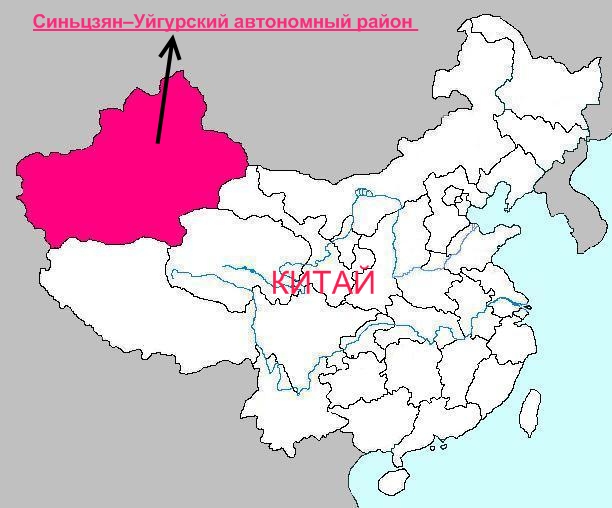 В Синьцзяне произошло очередное кровавое столкновение, десятки погибших и раненых