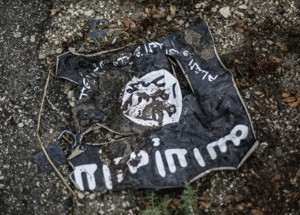 Международная коалиция уверена в прогрессе борьбы с ИГ