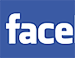 "Братья-мусульмане" запустили свой собственный Facebook