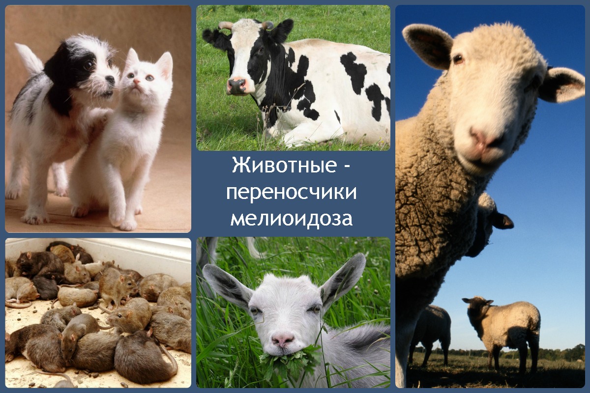 Малоизвестная болезнь тяжело поддается лечению