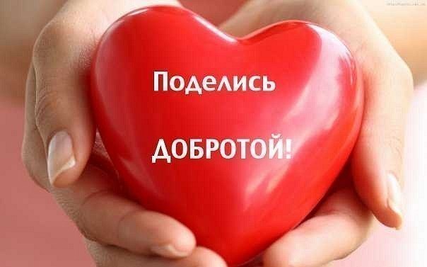 Девушка в центре Лондона провела флеш-моб, призывая любить мусульман