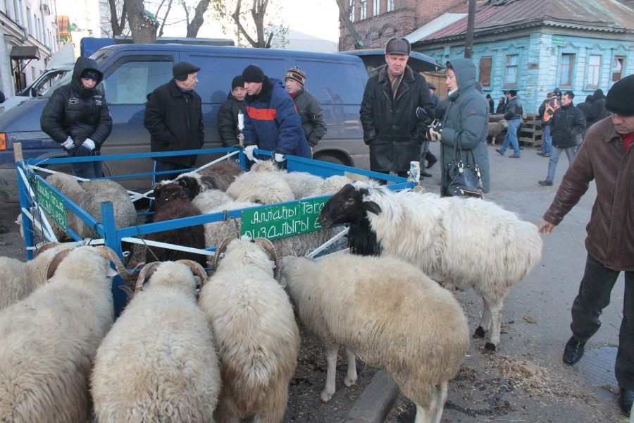 В Казани подготовили 17 площадок для жертвоприношения в Курбан-байрам