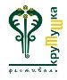 В столице Татарстана пройдет международный этнический фестиваль «Крутушка»