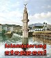 Исламовед-исламофоб поддержал запрет на минареты