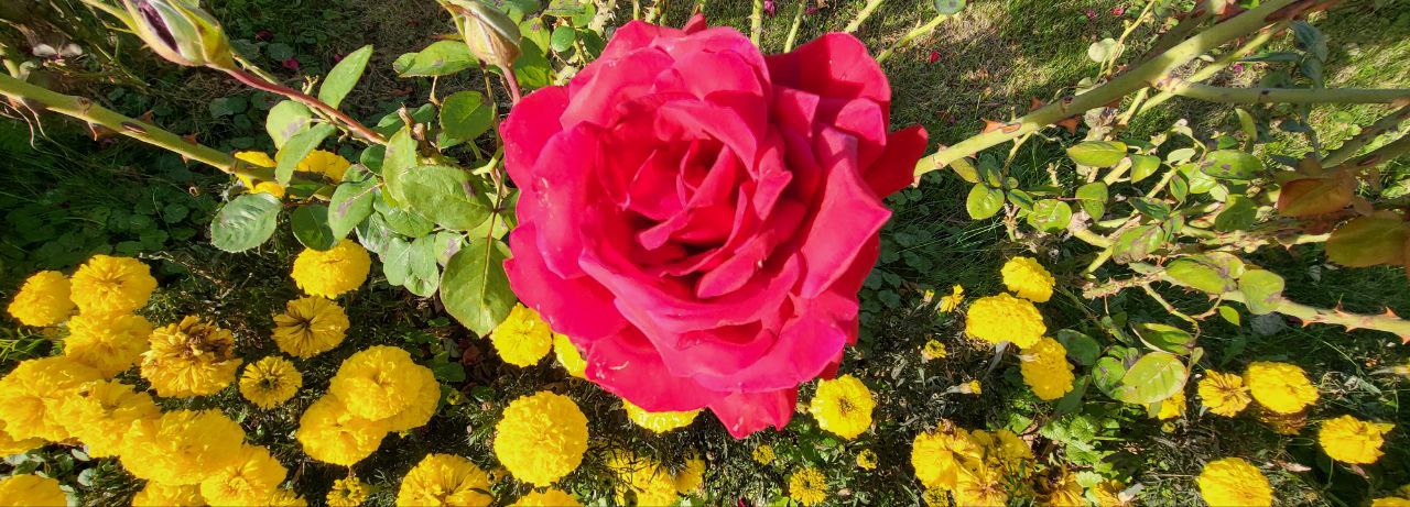 Ценность последних дней Рамадана – Ночь Предопределения