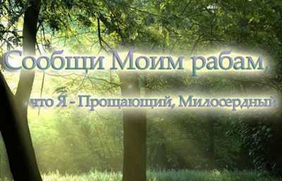 Почему не стоит отчаиваться в милости Аллаха?